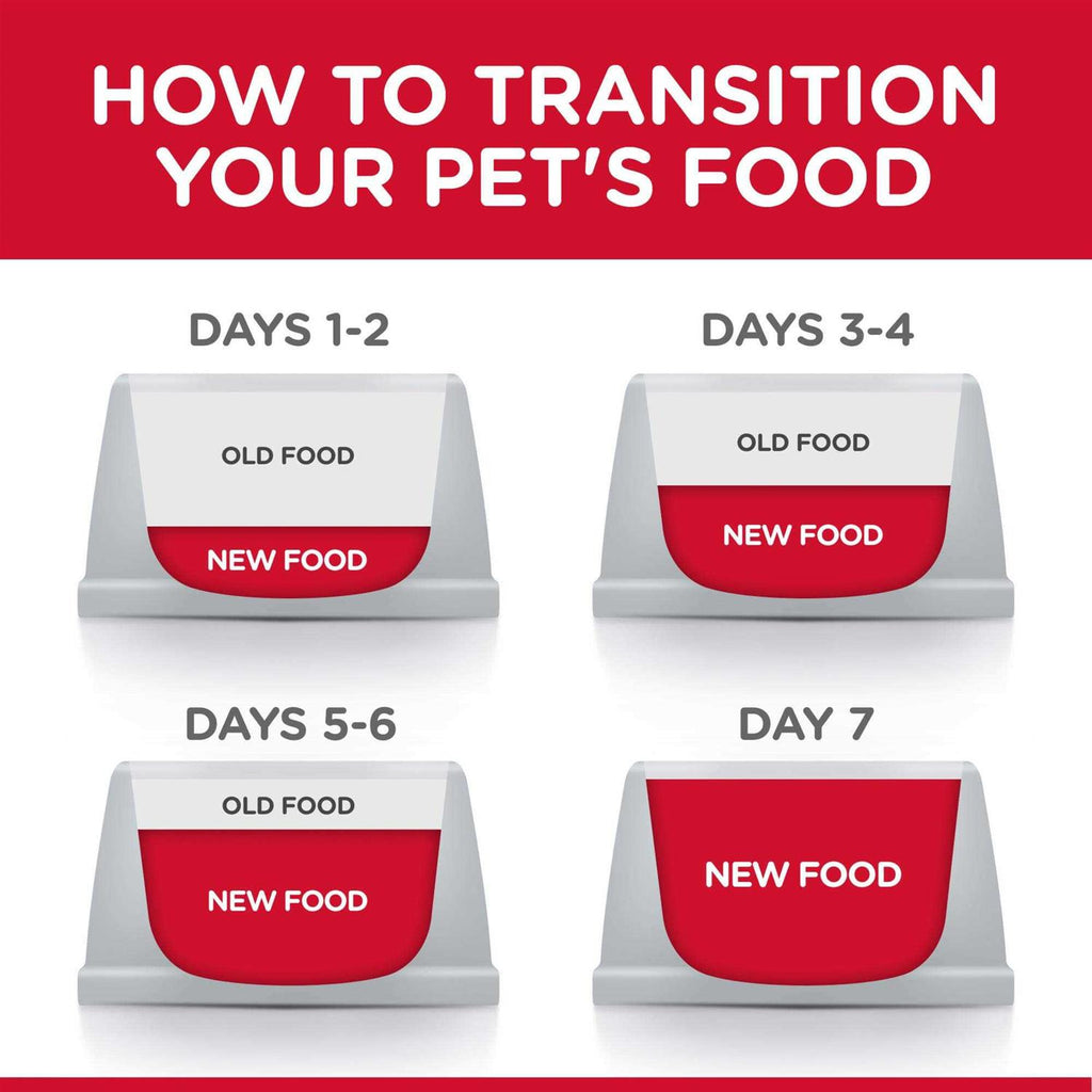 Adult Dog Food Turkey Y7198