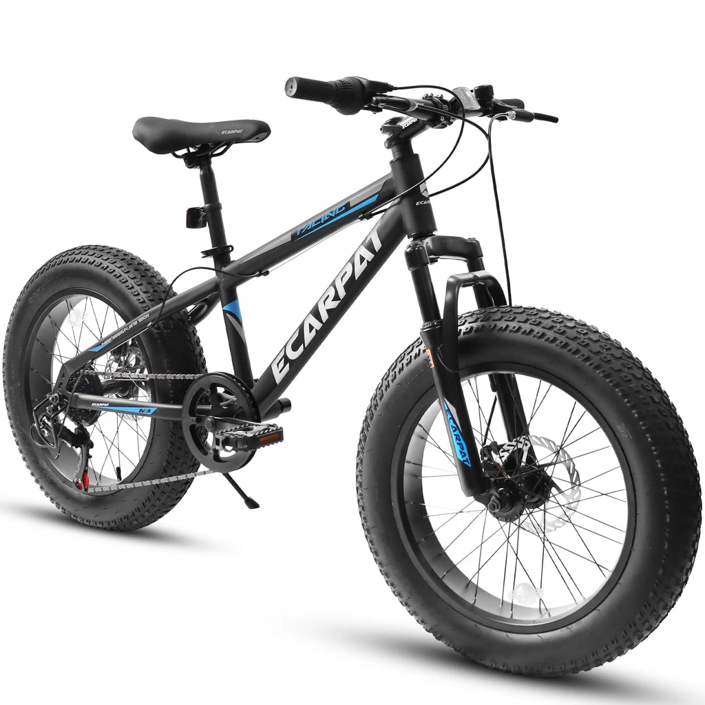 20 inch Black Kids Bike with Disc Brakes 7 Speed W130695