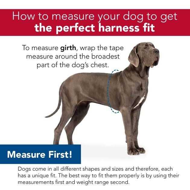 Metallic Adjustable Dog Harness U273