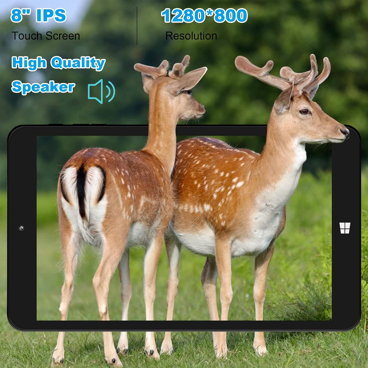 8 Windows Tablet L8867
