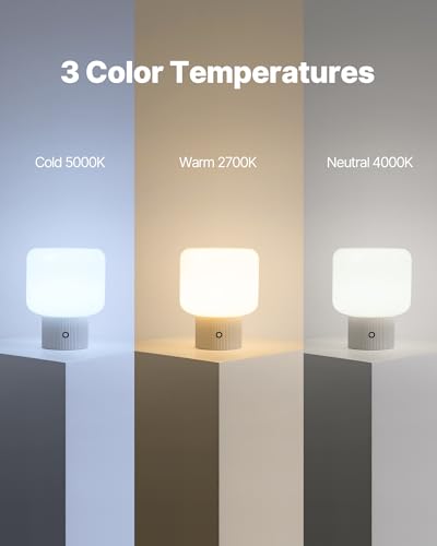 5W Cordless Rechargeable Glass Shade LED Table Lamp N777206
