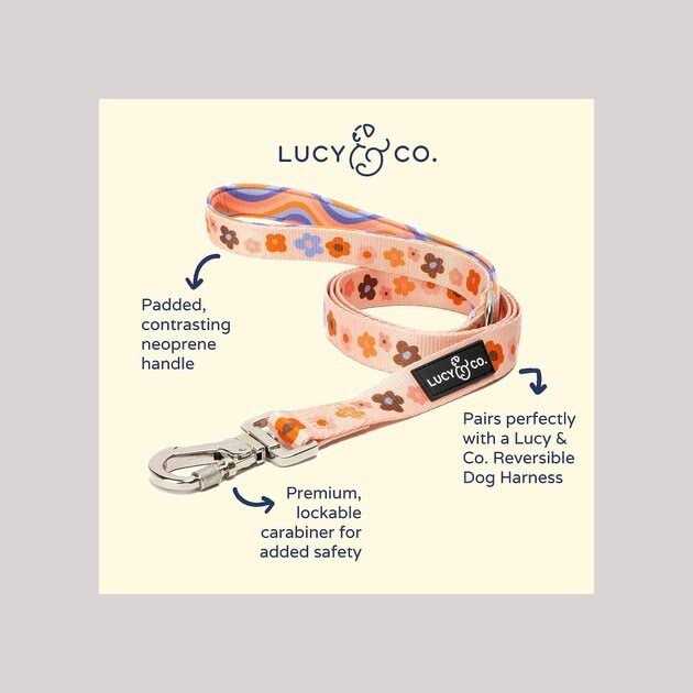Leash S54452