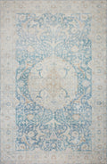 Antique Sky 8'6 x 11'6 Rug C4155