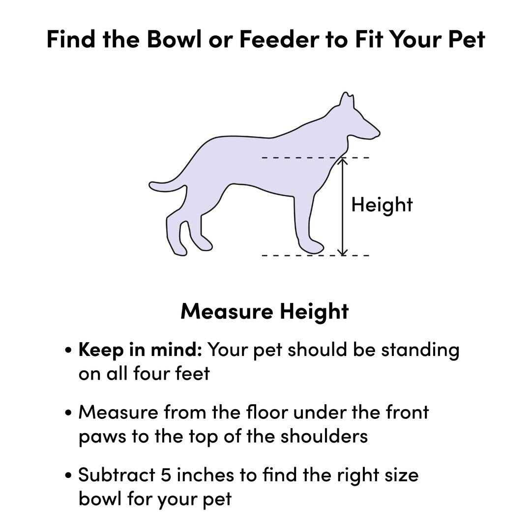 Pet Training and Puppy Pad Holder C47454