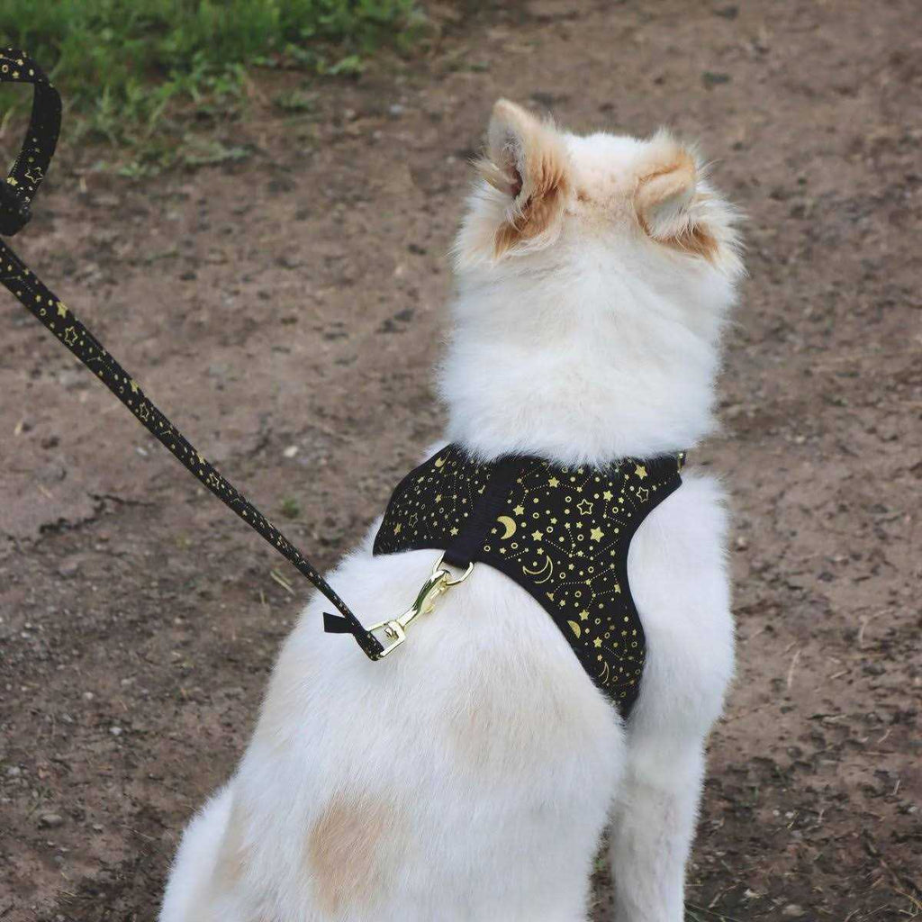 Metallic Adjustable Dog Harness U273