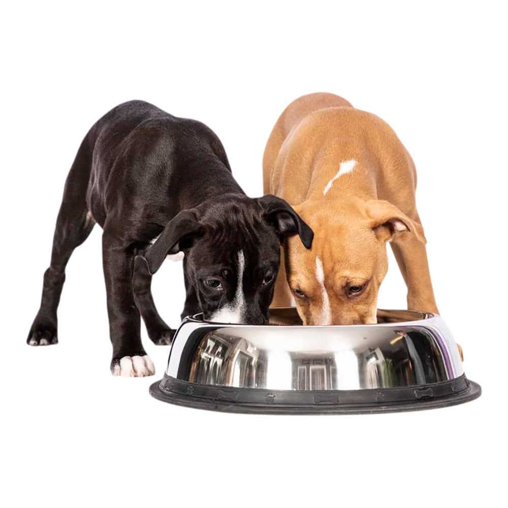 Stainless Steel Bowl N594