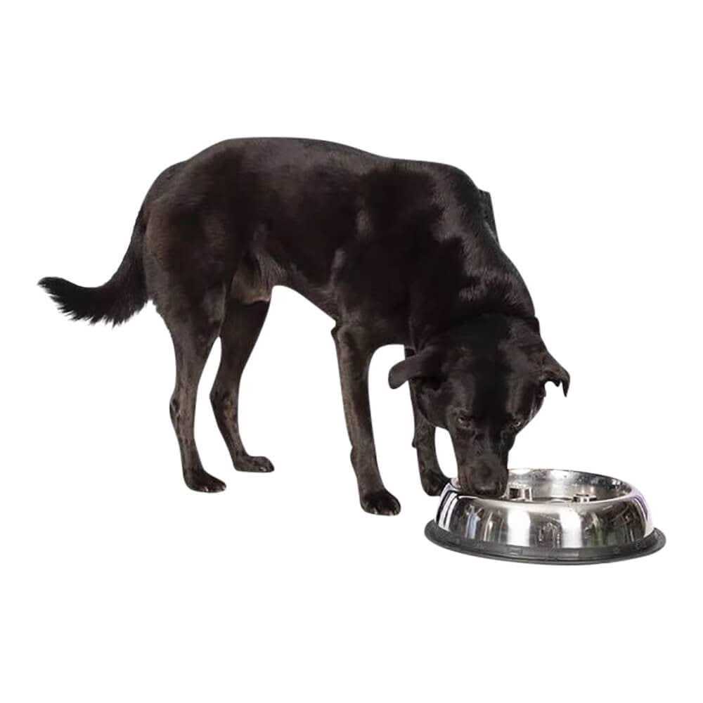 Stainless Steel Bowl N594