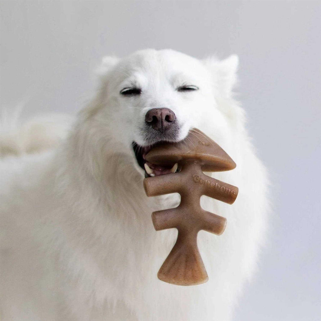 Fishbone Dog Chew K212356