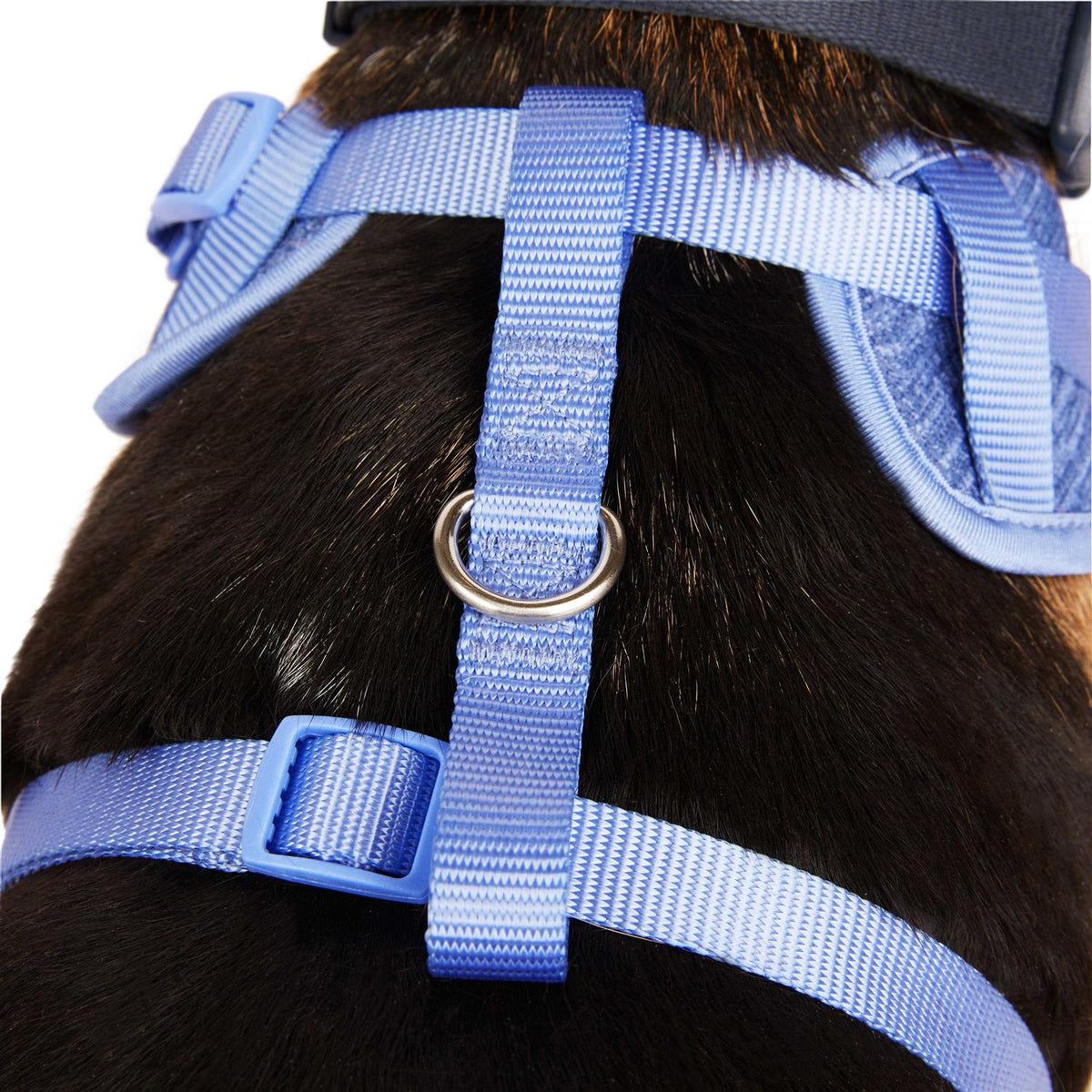 Heather Pullover Dog Harness K465122