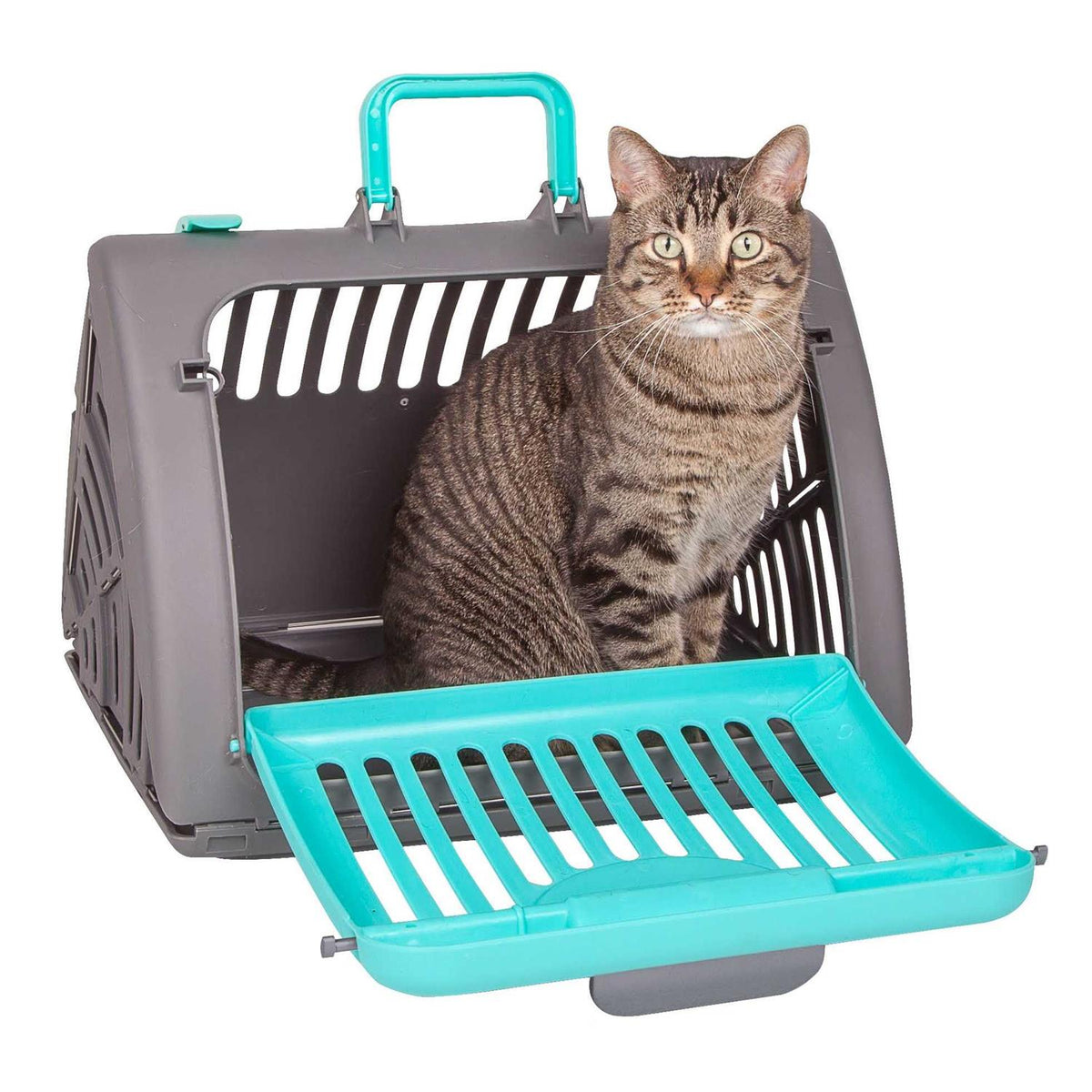 Foldable Travel Cat Carrier V7276