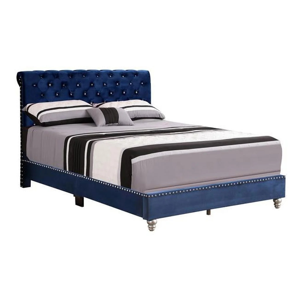 Navy Blue Tufted Upholstered Full Panel Bed Y150