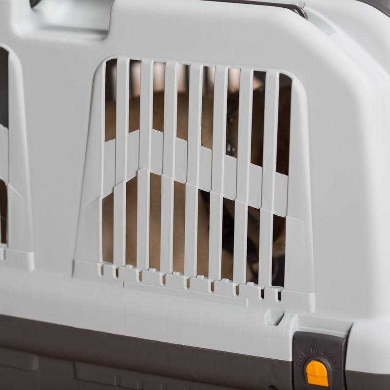 Plastic Travel Carrier V210