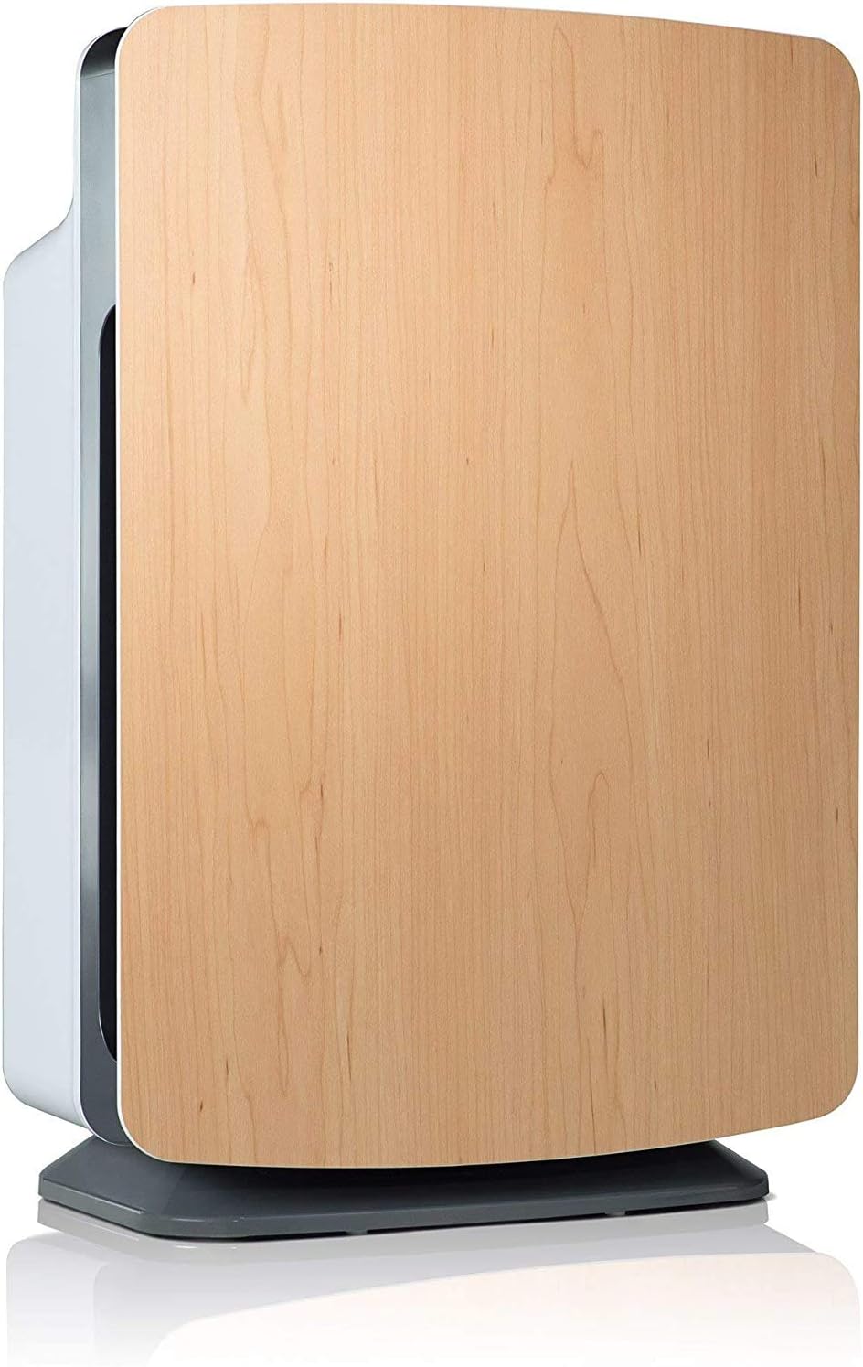 Large Room Air Purifier with H13 True HEPA Filtration T193660