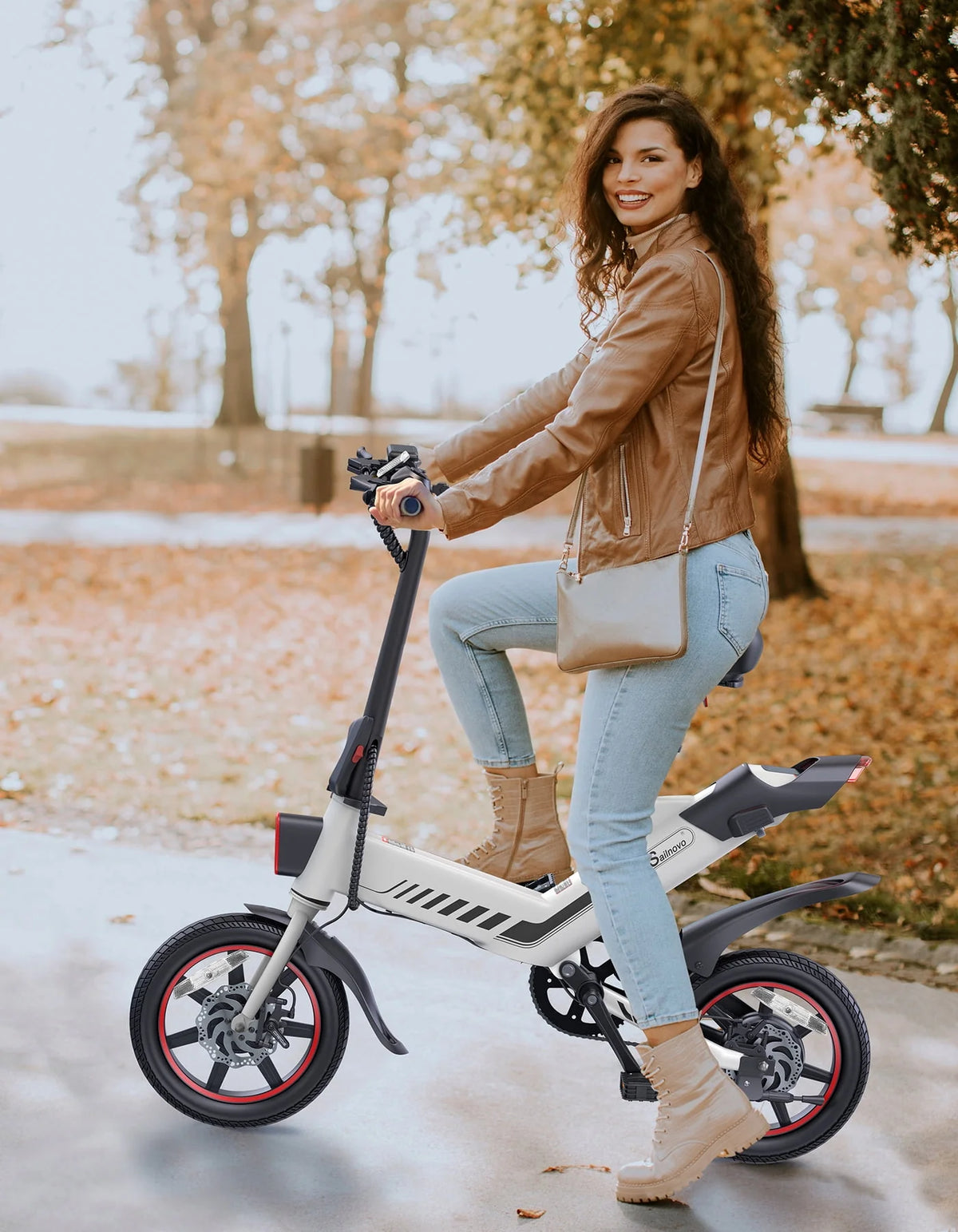 14'' Folding Electric Bike with Removable 36V Lithium-Ion Battery D4009