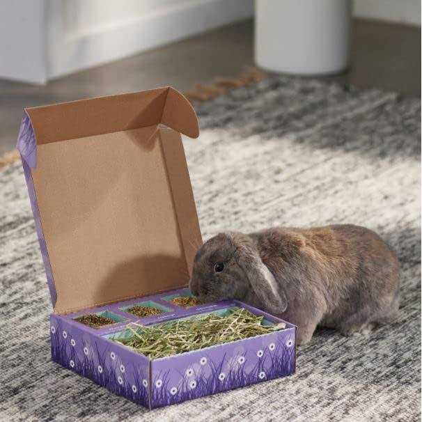 Bunny Bento Box Q1960