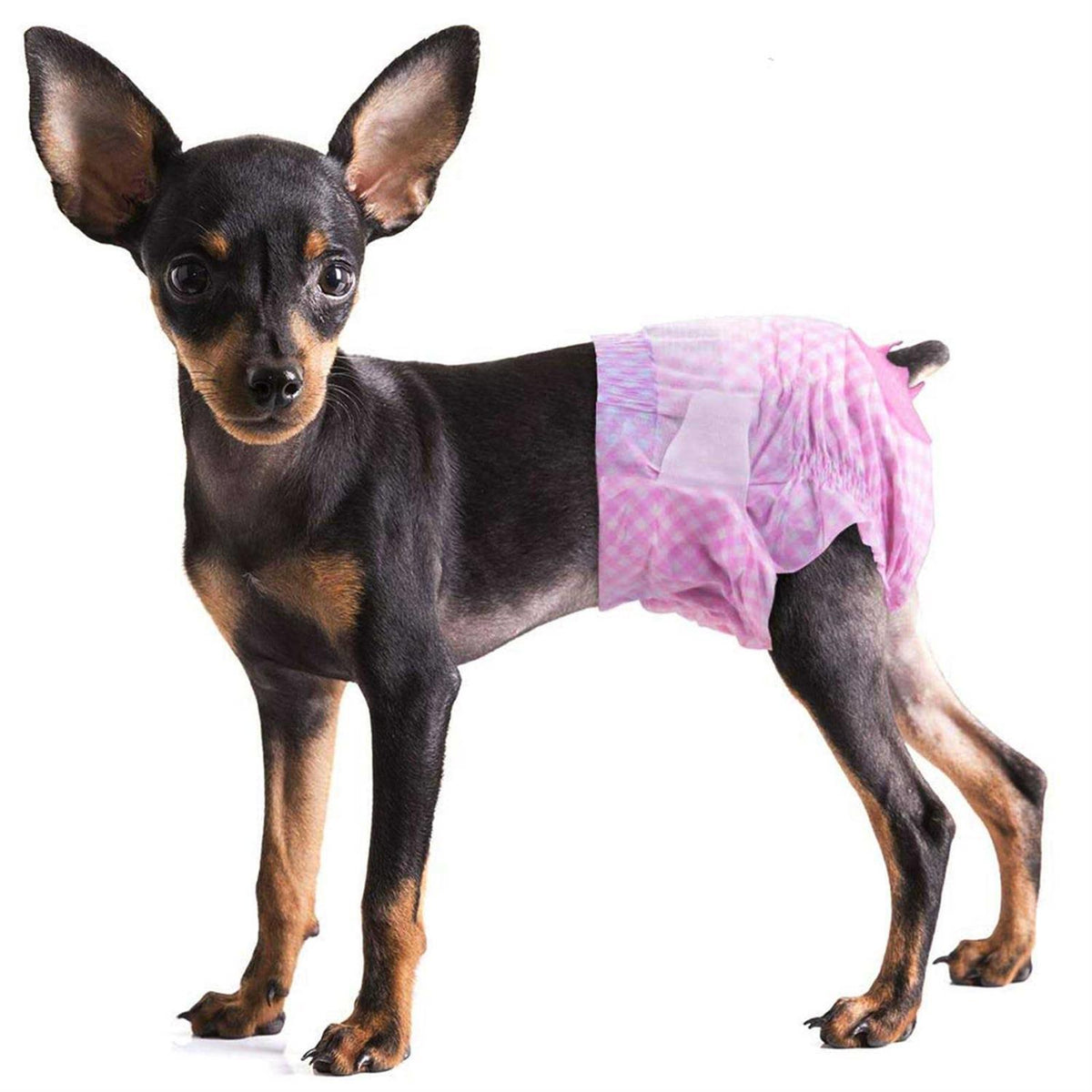 Soft Disposable Dog Diapers I184