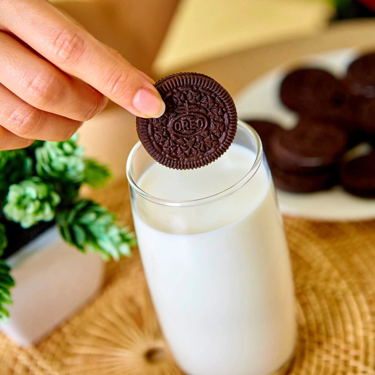 Chocolate Sandwich Cookies Family Size Pack of 3 V880