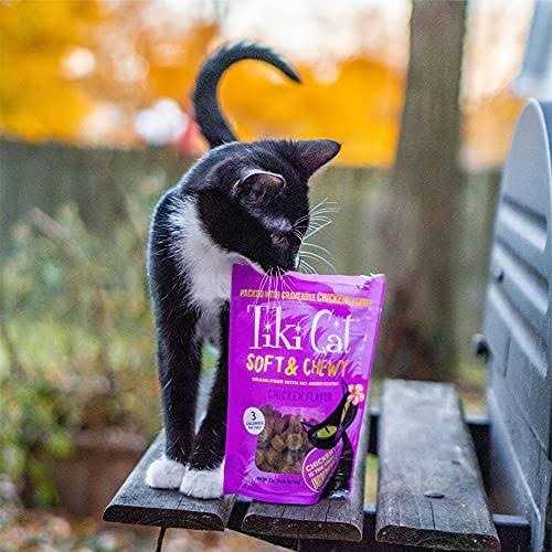 Chicken Soft & Chewy Cat Treats C2937