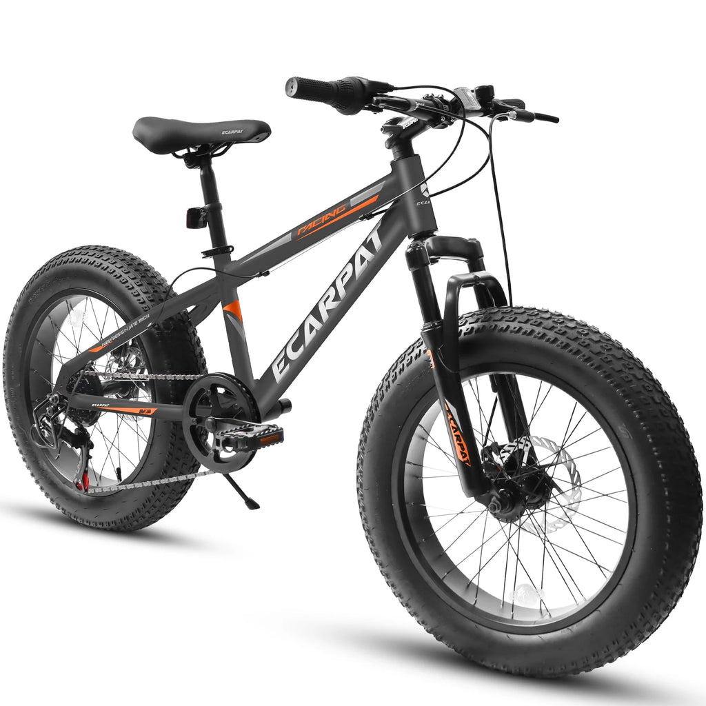 20 inch Black Kids Bike with Disc Brakes 7 Speed W130695