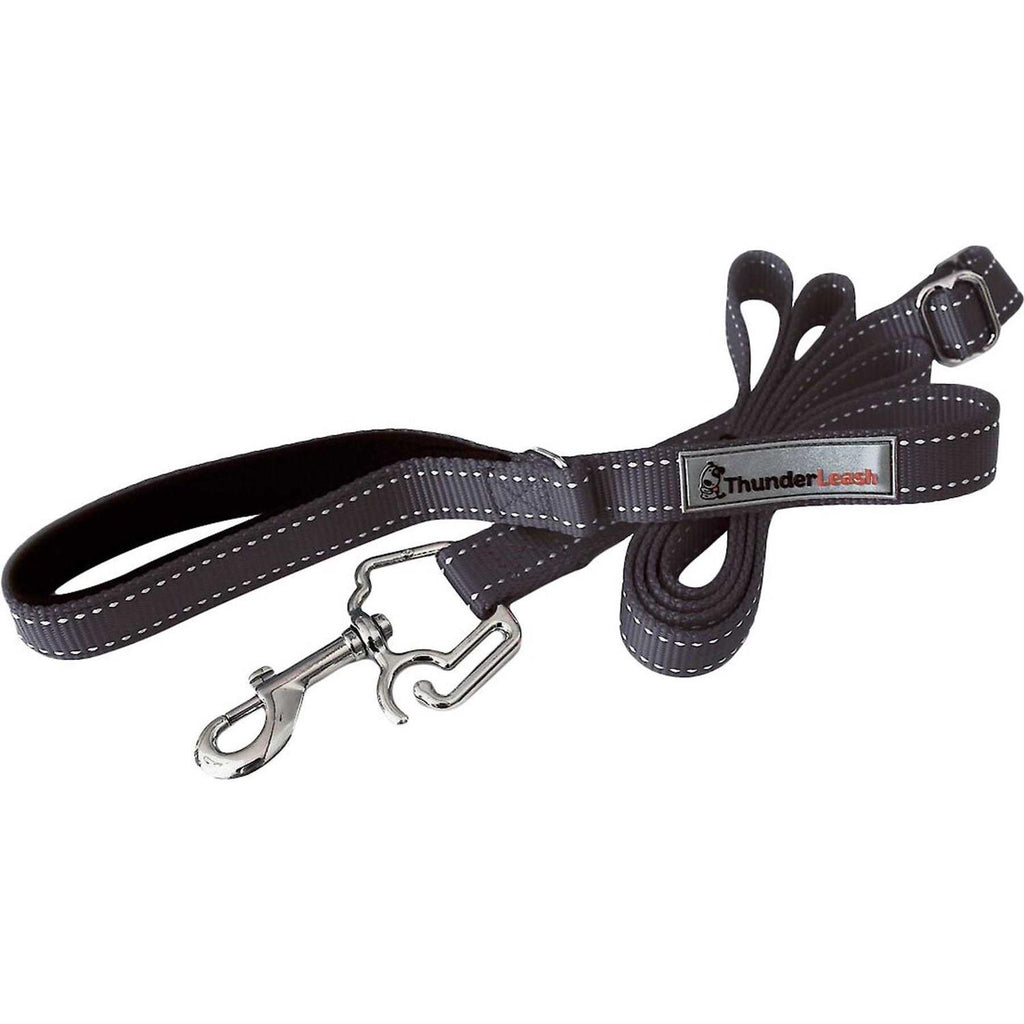 Dog Leash B1915