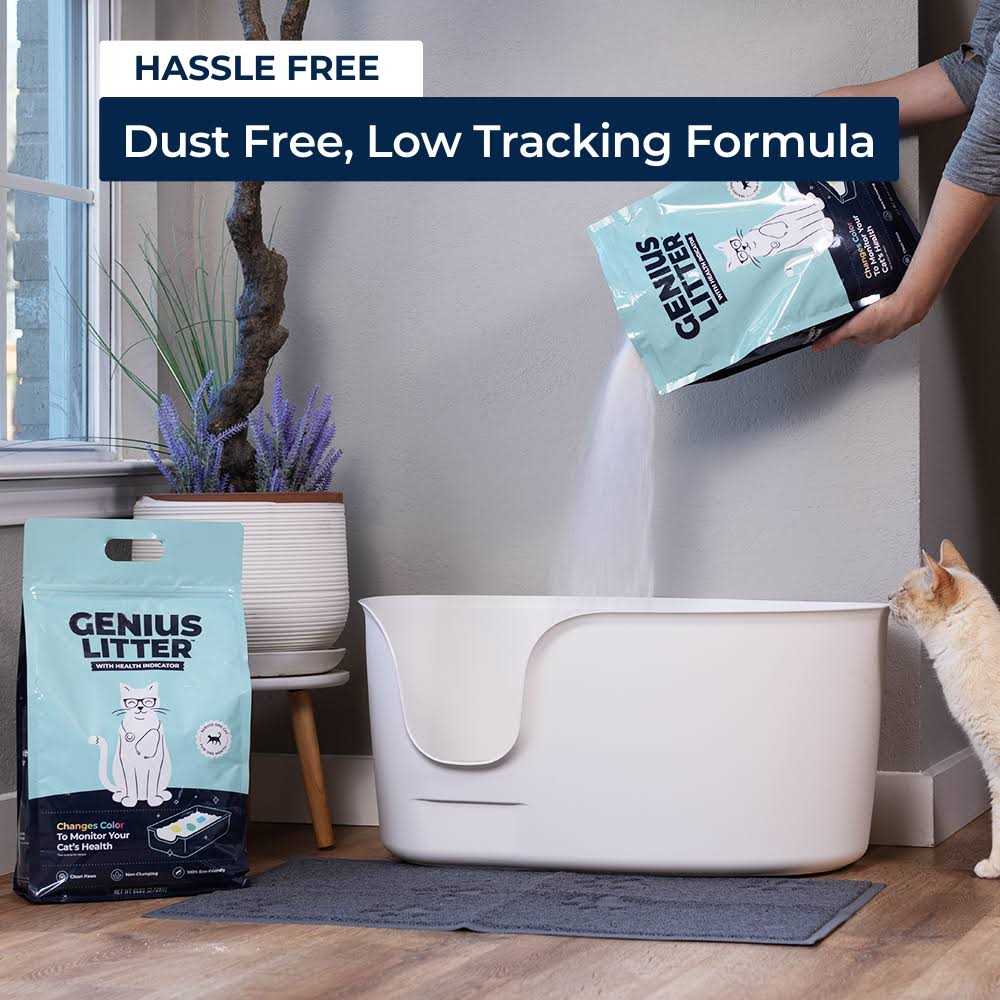 Cat Litter Y604691