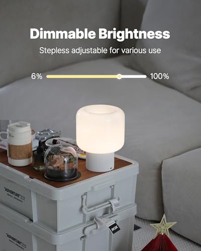 5W Cordless Rechargeable Glass Shade LED Table Lamp N777206