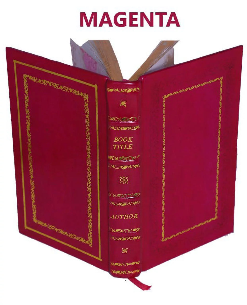 Genealogy of the Doty-Doten Family in America Volume 2 Leather Bound U807502