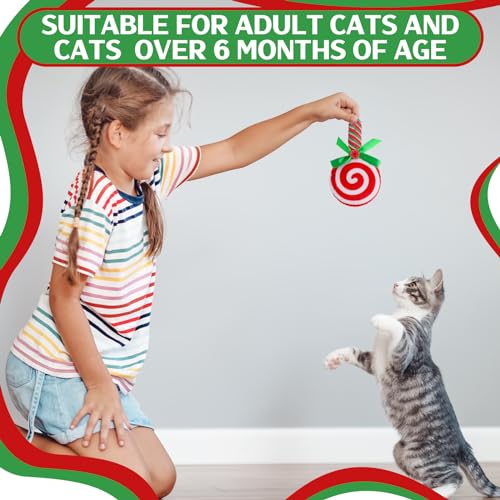 6 Pcs Catnip Cat Toys Peppermint Candy Cane Cat Chew Toy Soft Interactive Kitten Teething Toys Cat Pillow G308
