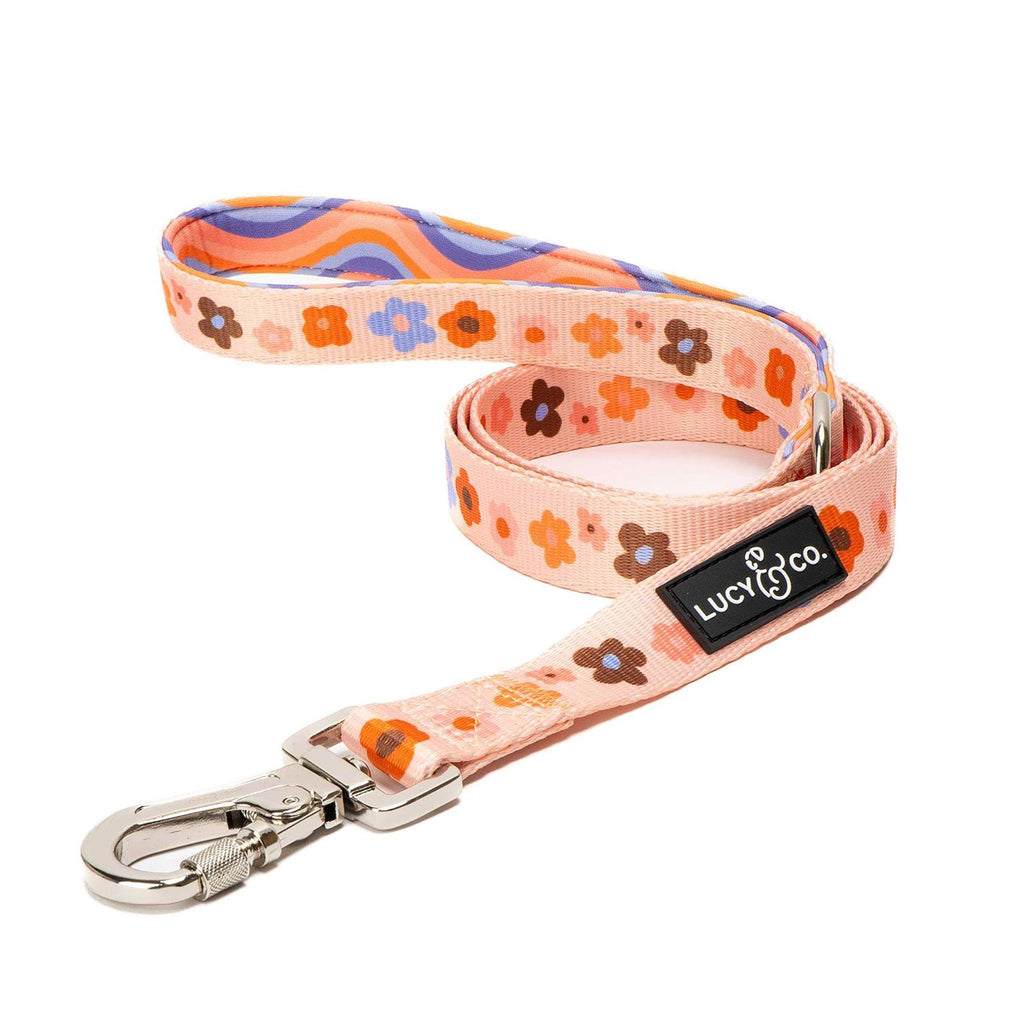 Leash S54452