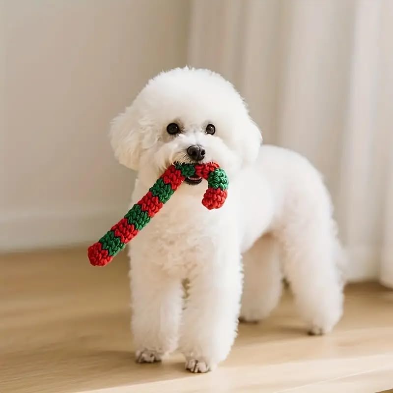 4 Pack Braided Cotton Dog Rope Toys D347666