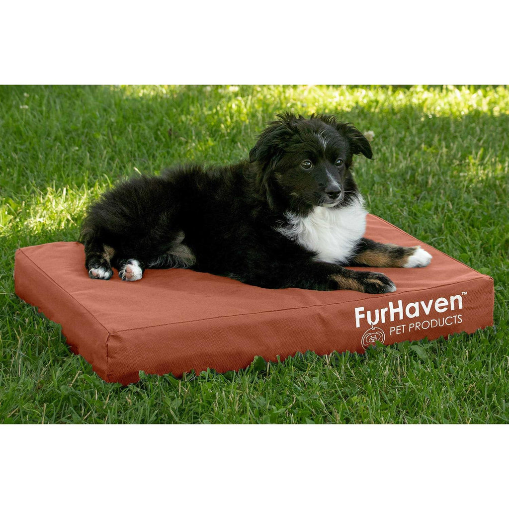 Dog Bed K2468