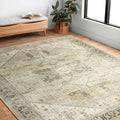 Printed Persian Distressed Vintage Area Rug 3' x 5' B462301