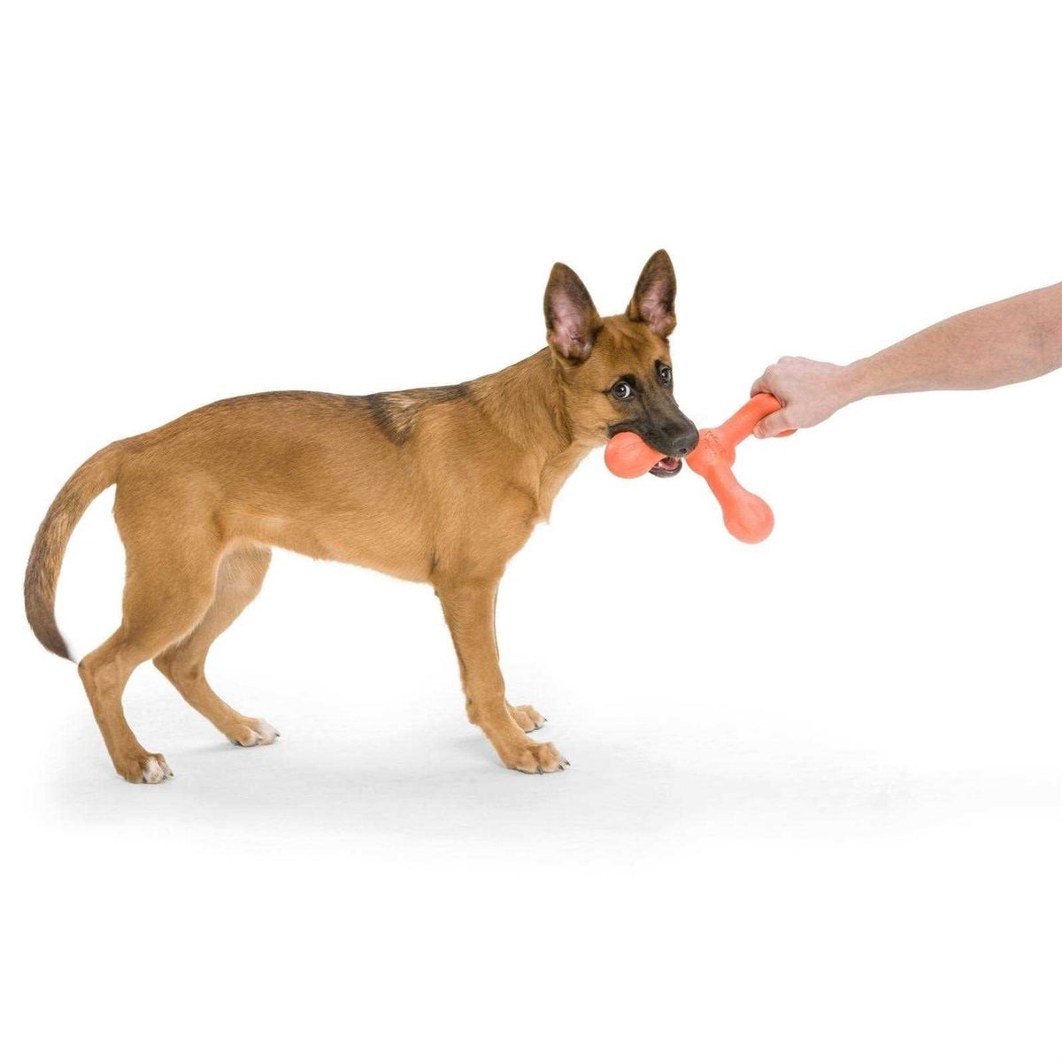 Dog Toy U7145