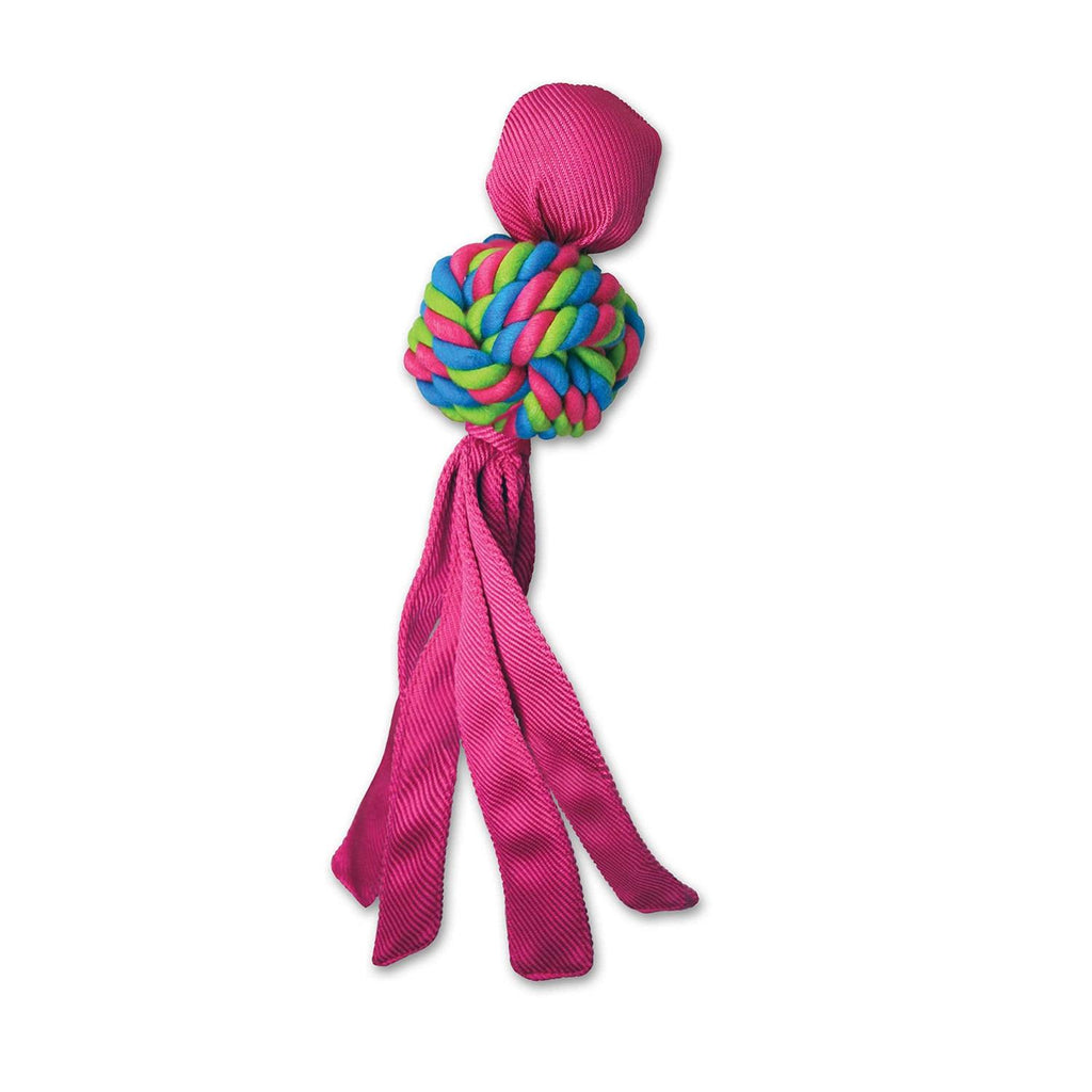 Dog Toy Y244783