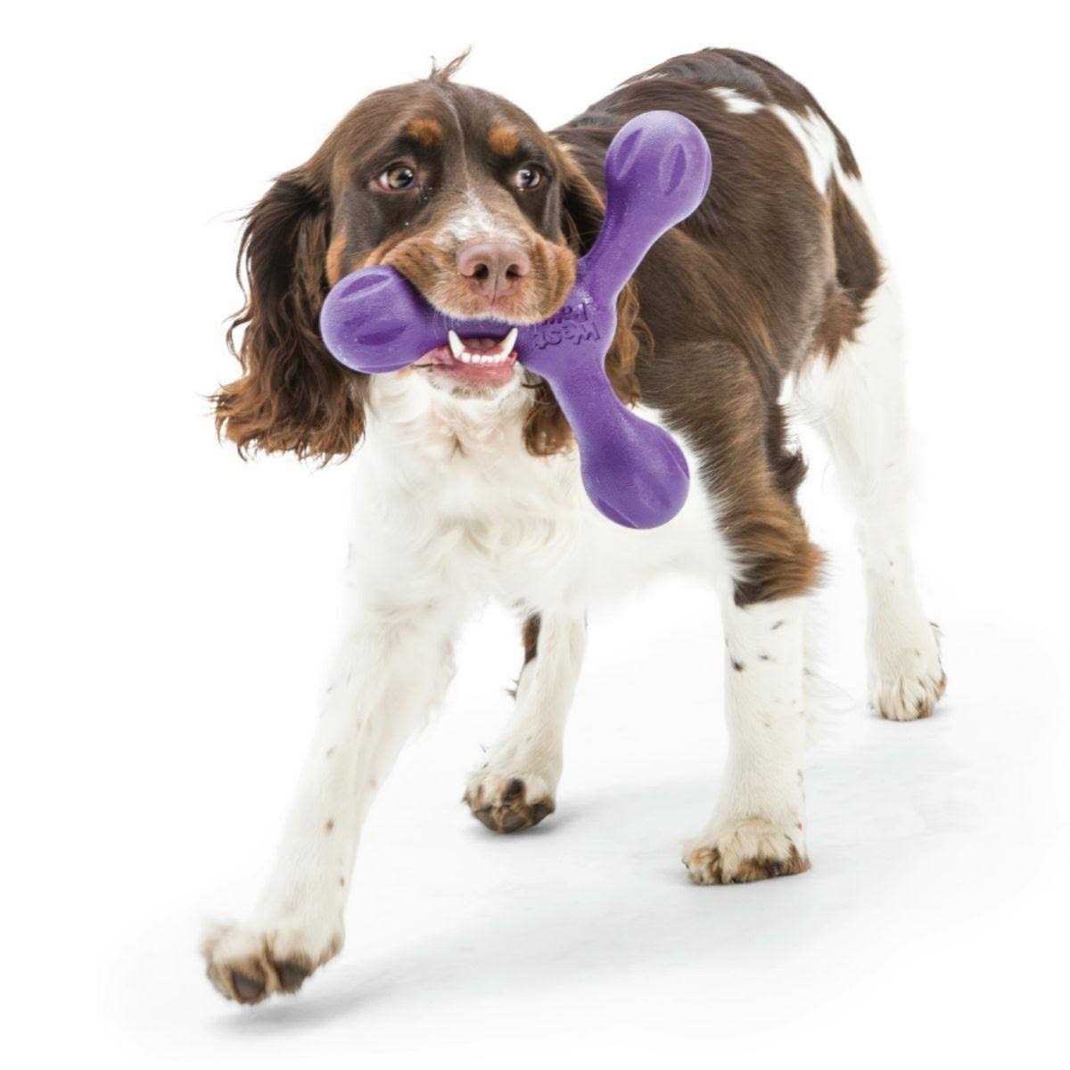 Dog Toy U7145