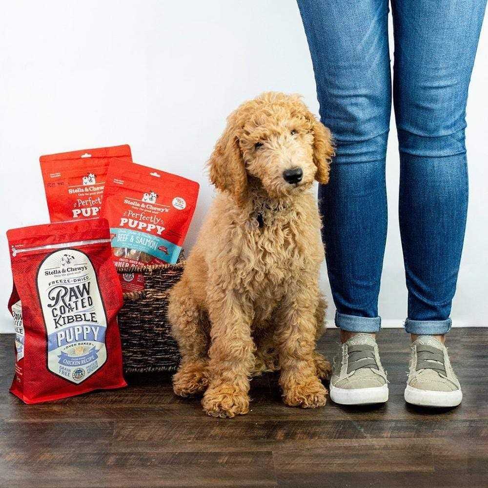 Puppy Raw Coated Kibble E785