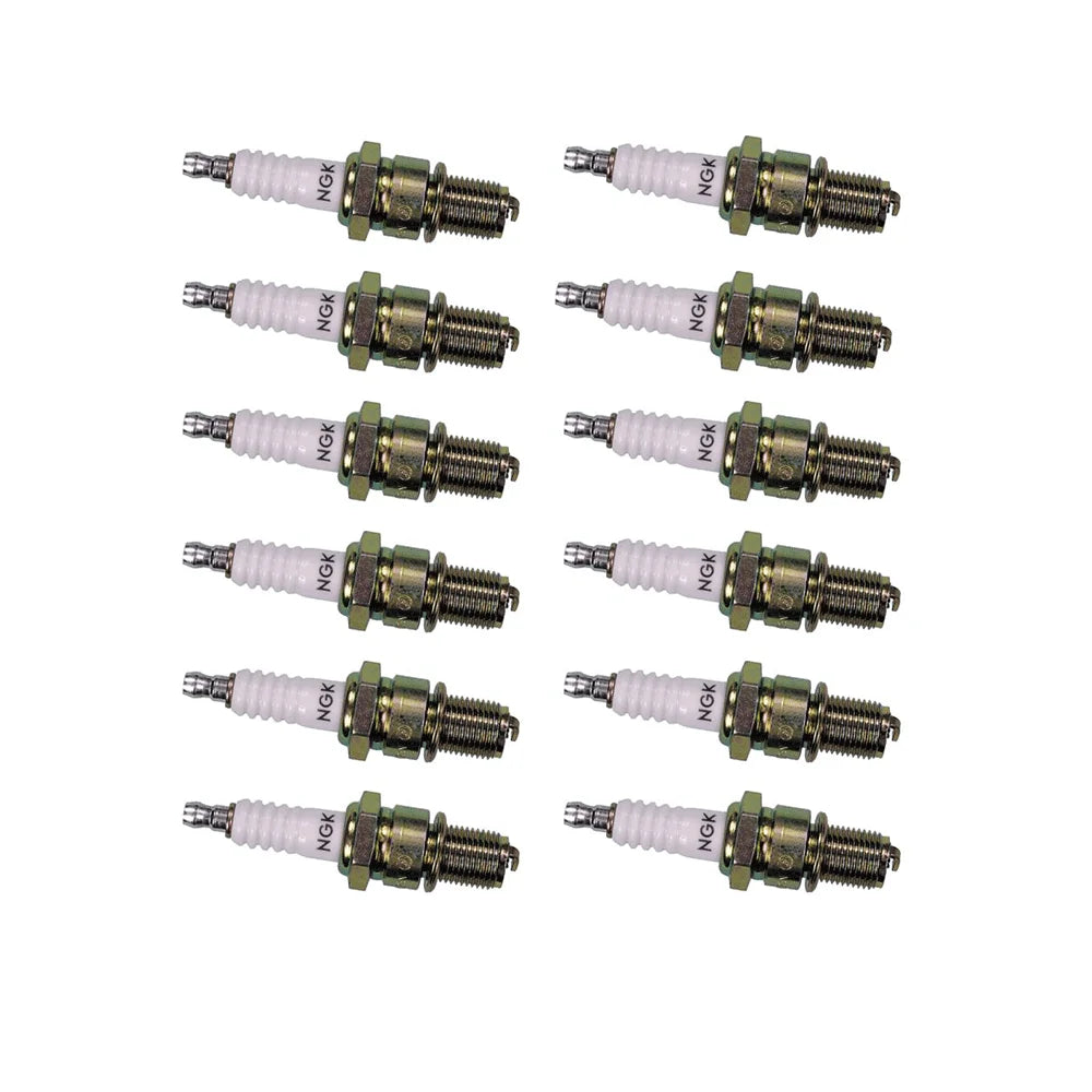 Spark Plug BR6EF 12 Pack F866601