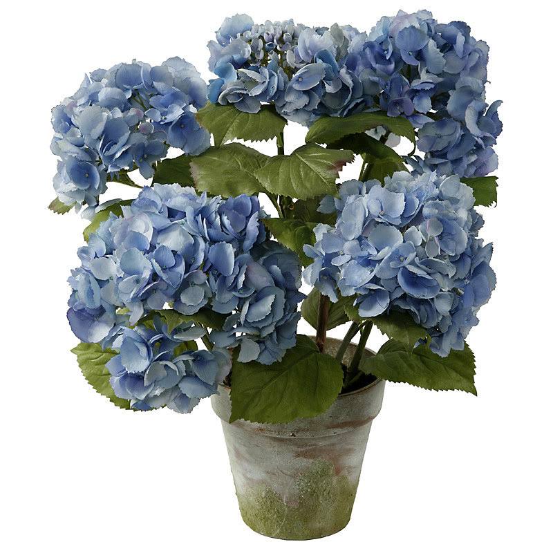 4-Stem Hydrangea Floral Arrangement in Terracotta Pot J614263