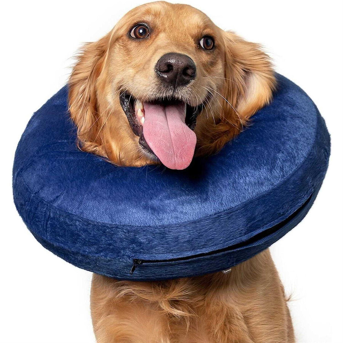 Inflatable Collar X626090