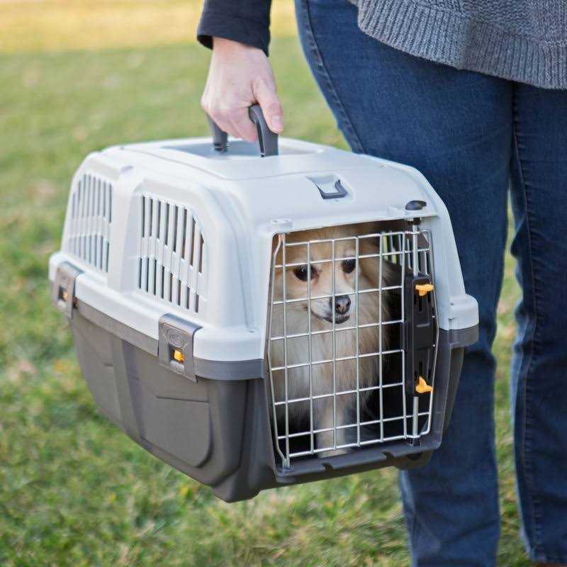 Plastic Travel Carrier V210