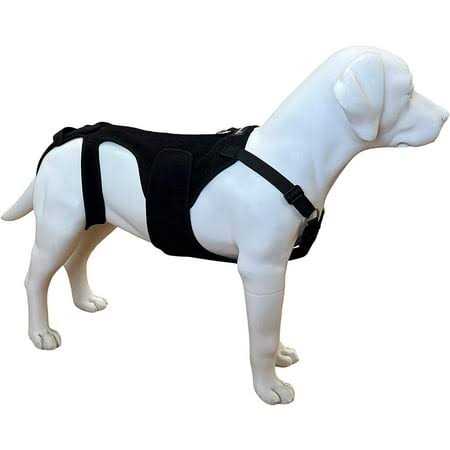Dog Back Brace O620