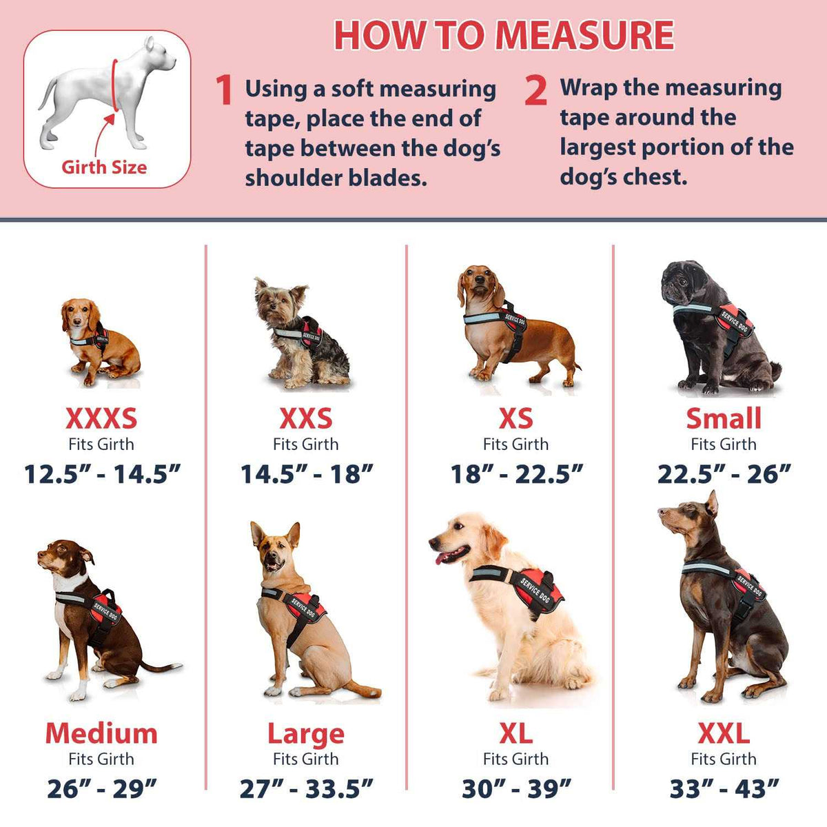 Service Dog Vest with Hook and Loop Straps & Leash Set P750398