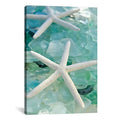 Gallery Wrapped Canvas Art Print N9500