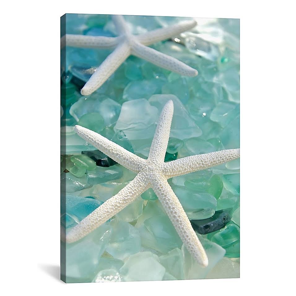 Gallery Wrapped Canvas Art Print N9500