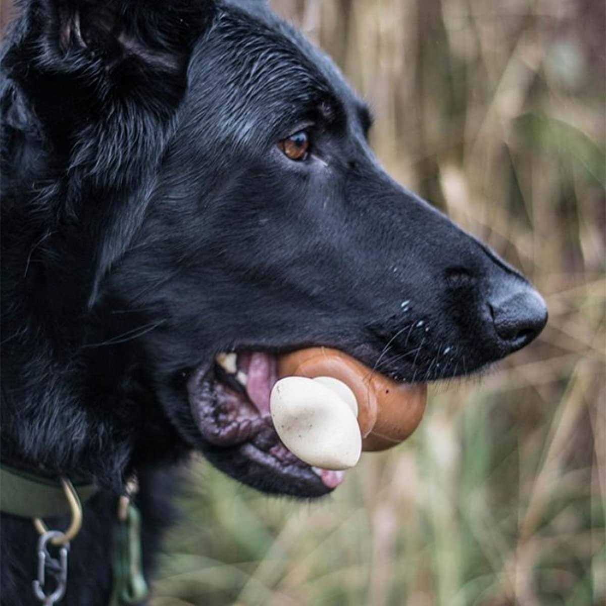 Tough Dog Toys A7020