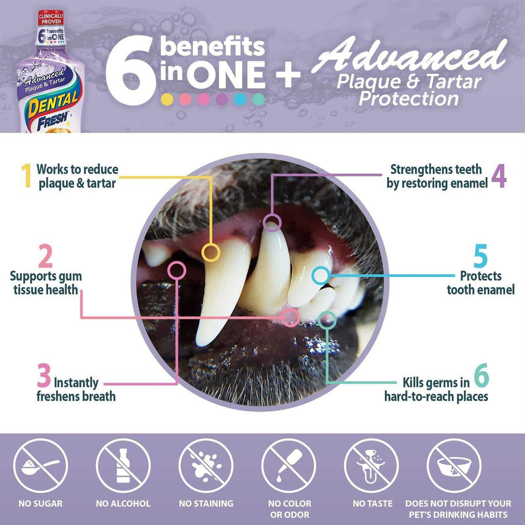 Advanced Plaque & Tartar Water Additive for Dogs L3962