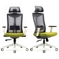 Ergonomic Office Chair with Lumbar Support Gray Y3754