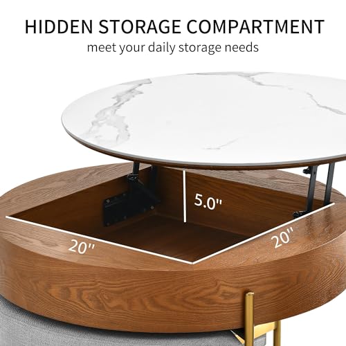 32" Round Marbling Pattern Slate Lift Top Coffee Table Set with Storage N62242