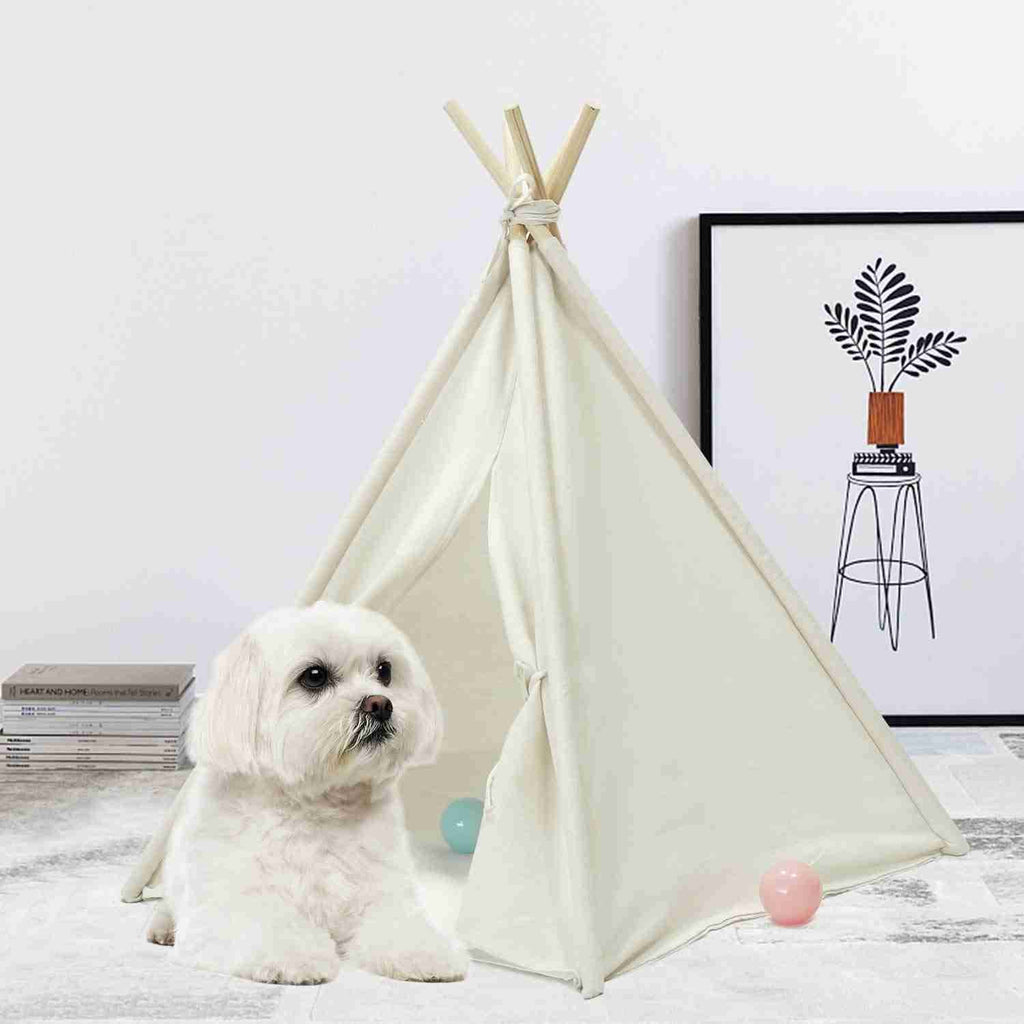 Foldable Cotton Canvas Pet Bed V1076