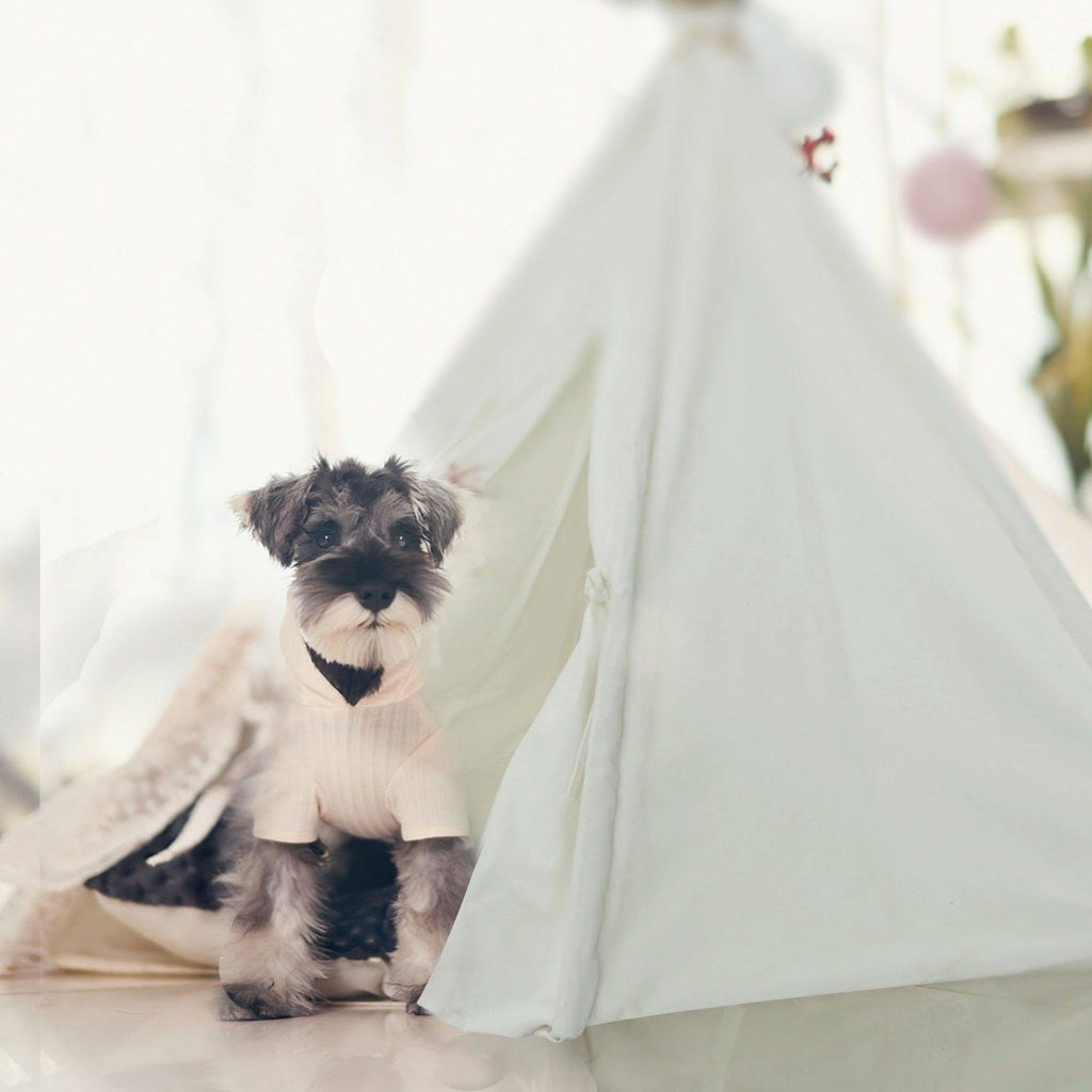 Foldable Cotton Canvas Pet Bed V1076